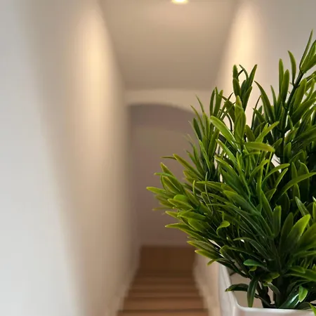 Vakantiehuis Casa Papaya